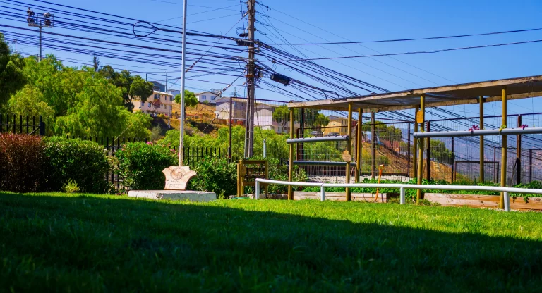 Foto del patio de la Sede comunitaria El Olivar